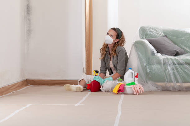Reliable Mold Remediation contractor in Youngsville, NC by 24 Hour Mold Removal